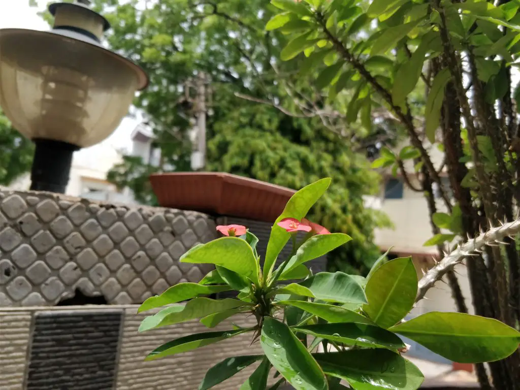TrueTech OnePlus 5 Camera Sample 1