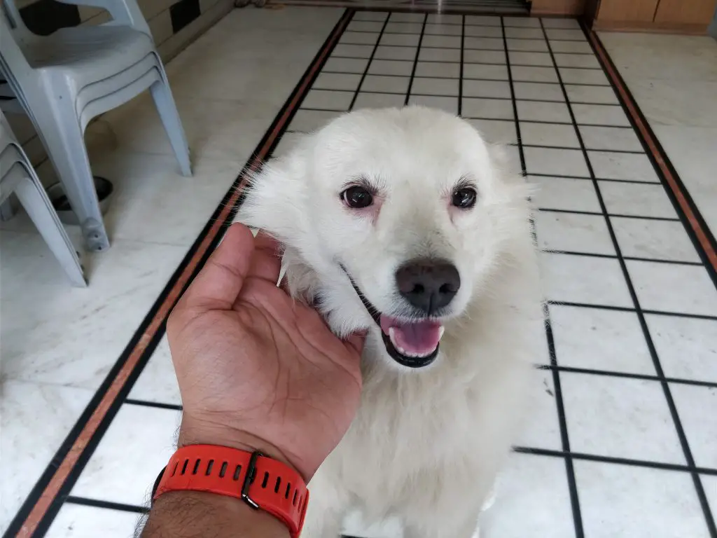 TrueTech OnePlus 5 Camera Sample 3