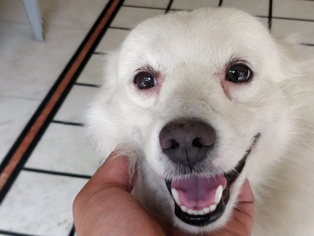 TrueTech OnePlus 5 Camera Sample 4