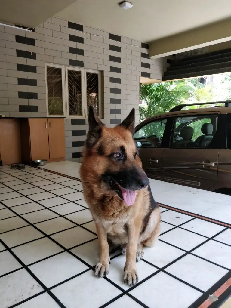 TrueTech OnePlus 5 Camera Sample 6