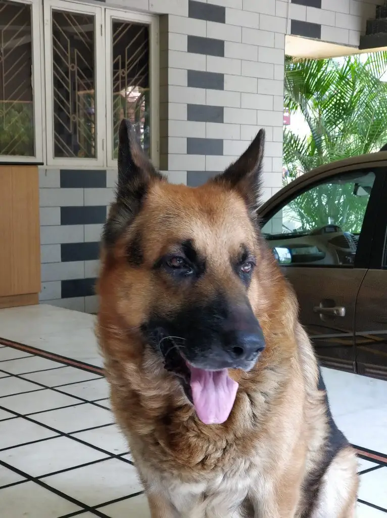 TrueTech OnePlus 5 Camera Sample 7