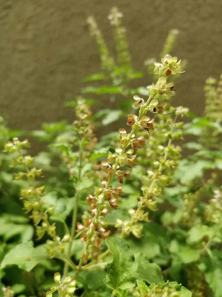 TrueTech OnePlus 5 Camera Sample 8