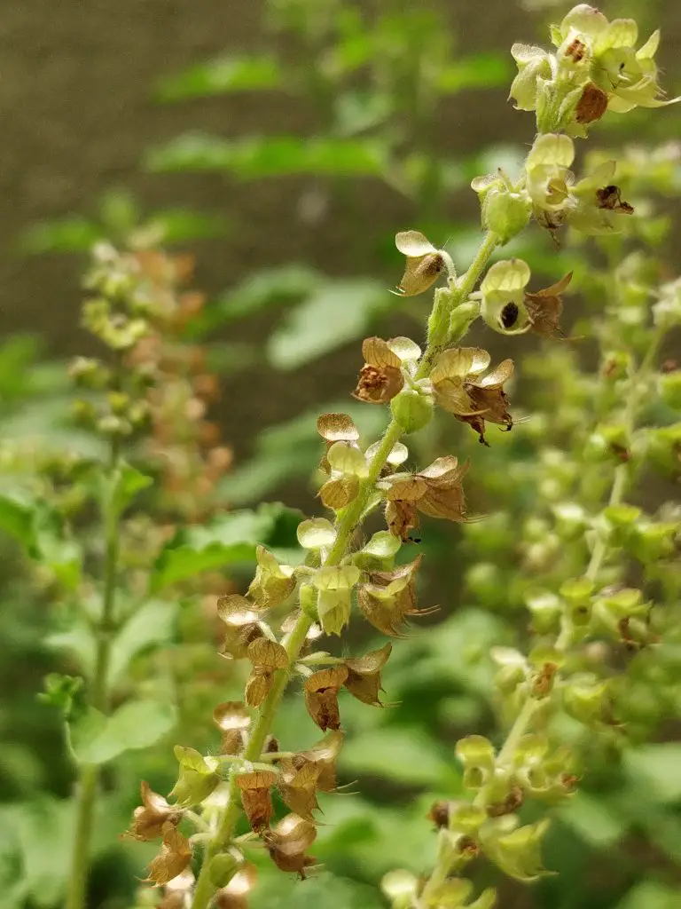 TrueTech OnePlus 5 Camera Sample 9