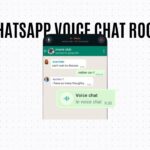 WHATSAPP VOICE