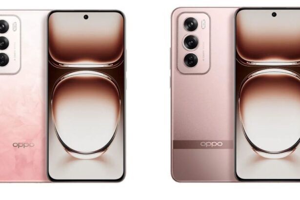 The Oppo Reno12 F, which will be available in 4G and 5G variants, has been revealed through leaked specifications.