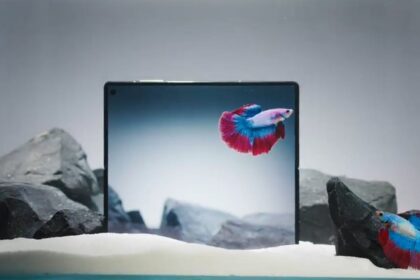 Vivo X5 Fold Details