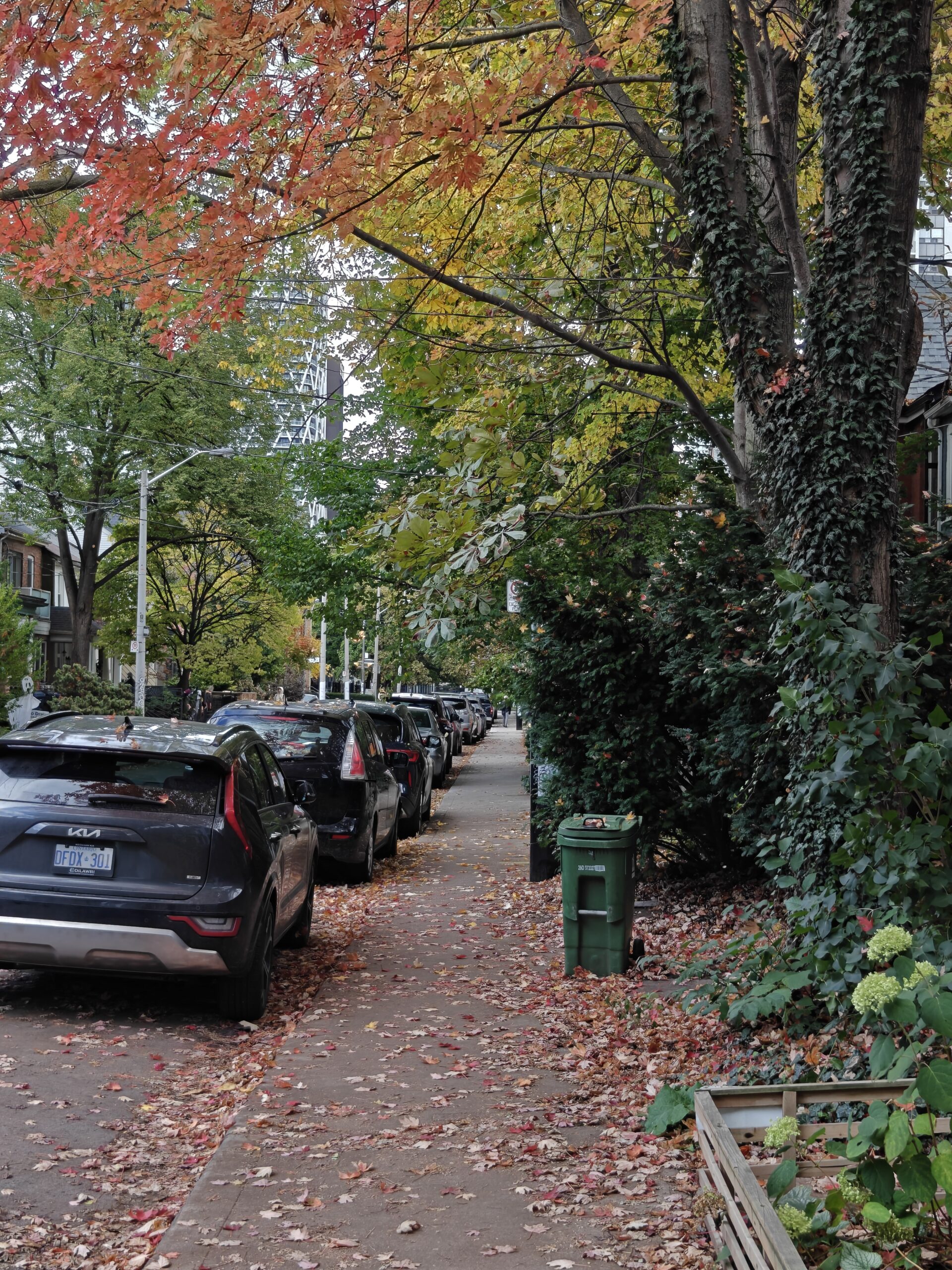 Fall leaves – OnePlus 15 Telephoto