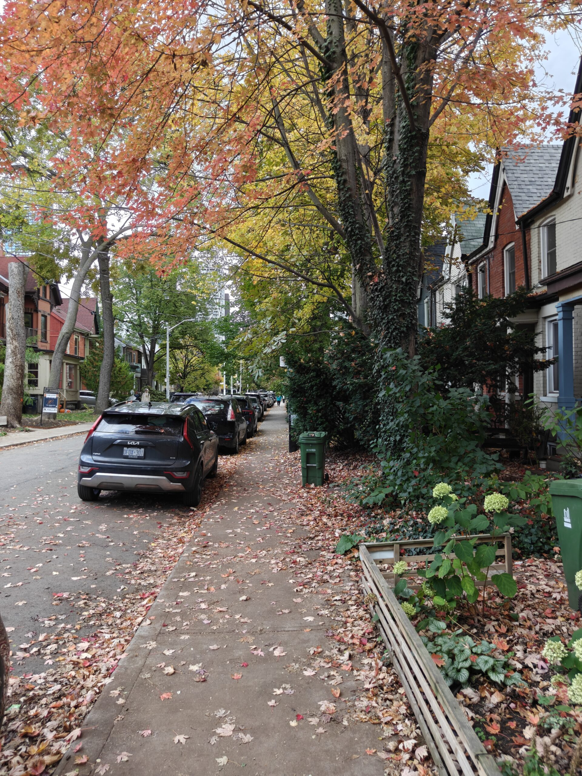 Fall leaves – OnePlus 15 Main Camera