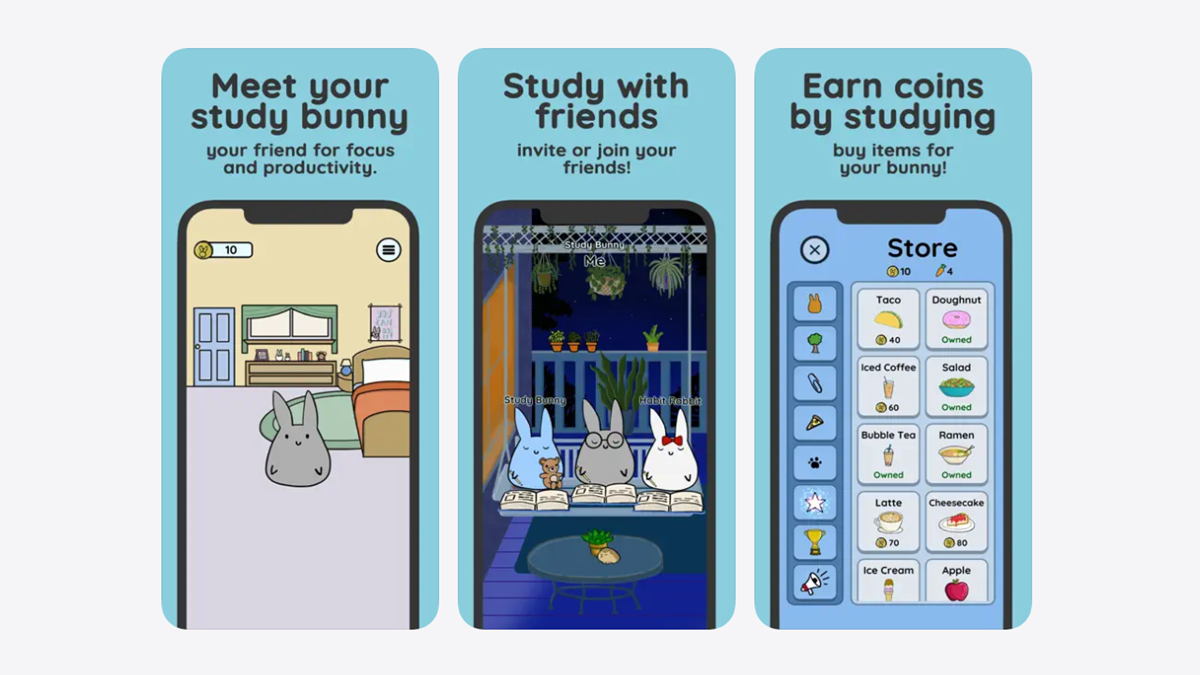 Study Bunny