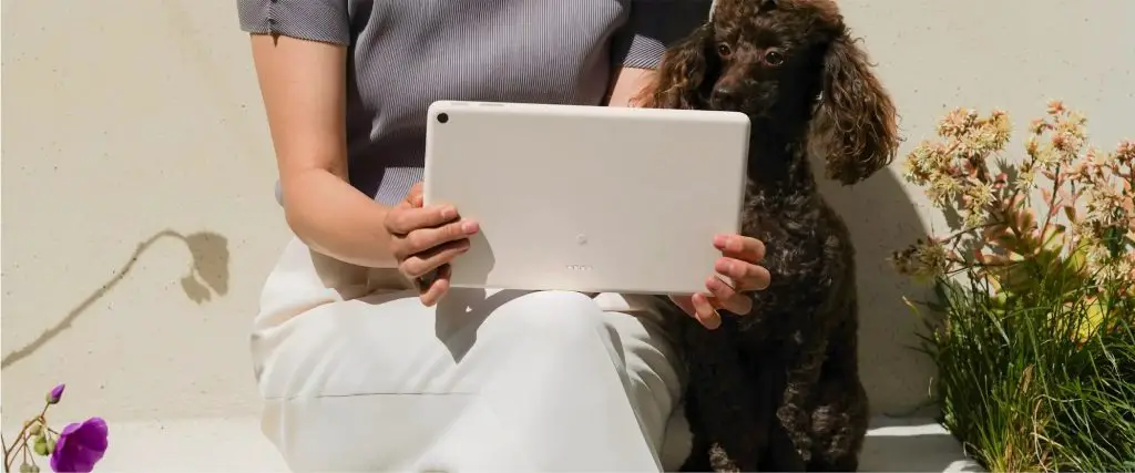 Made by Google Event 2022: Google Pixel Tablet